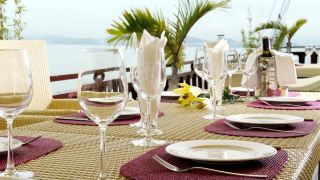 white-dolphin-charter-cruise