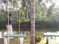 kuttickattil-gardens-home-stay