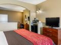 comfort-inn-dfwairportnorth