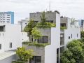 green-peace-da-nang