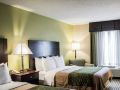 comfort-inn-and-suites-st-pete-clearwater-international-airport