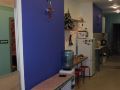 hostel-belyi-medved
