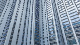 the-alpha-suites