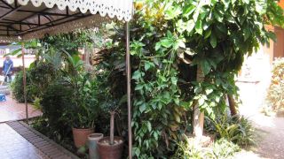 krachang-yai-guesthouse