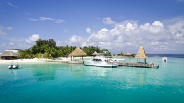 ozen-reserve-bolifushi