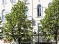best-western-alba