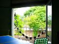 hostel-joven-casa-reggae