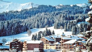 le-grand-morillon-mri113