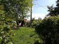 les-vignes-reines