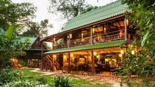 our-jungle-house