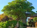 villa-selonding-batu