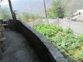 bamboo-homestay-sapa