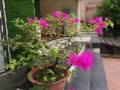 bao-trang-hotel