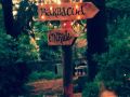 el-abejaruco
