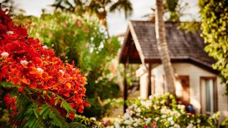 iloha-seaview-hotel