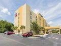 springhill-suites-tampa-north-tampa-palms