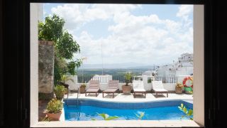 las-palmeras-del-califa