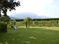 hotel-al-maso