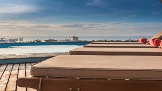 golden-daisy-hotel