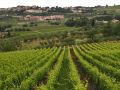 podere-il-poggiolo