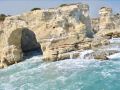 leonessa-di-puglia