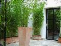 tingis-hotel