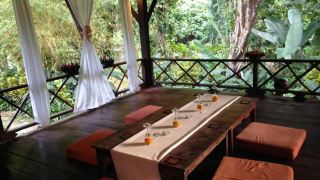 our-jungle-house