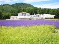highland-furano