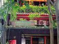 rainforest-bed-and-breakfast
