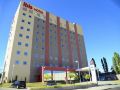 ibis-uberaba