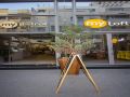 my-loft-anfa