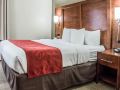 comfort-suites-research-park-university