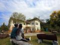 the-house-behind-stream