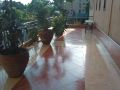 lush-garden-hotel