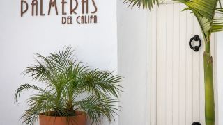 las-palmeras-del-califa