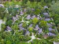 renaissance-phuket-resort-and-spa-sha-extra-plus