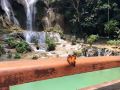 friendly-backpacker-hostel
