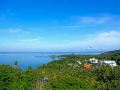 villa-buah