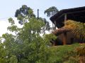 ella-sisila-view