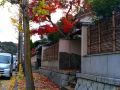 kinkaku