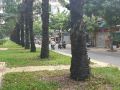 hotel-minh-minh-hieu