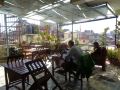 festoon-hotel