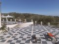 tenuta-olive-alive