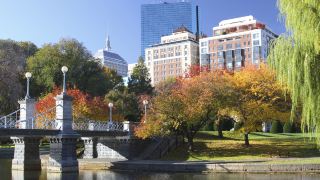 the-newbury-boston