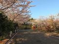 resort-hotel-corte-largo-izu-kogen