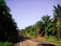 pordee-shop