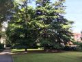 bed-and-breakfast-bio-salix