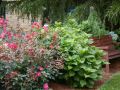 hyatt-regency-atlanta-perimeter-at-villa-christina