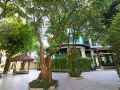 the-mantrini-chiang-rai