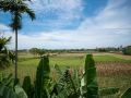 river-field-hoi-an-homestay